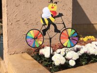 Results 60km Road Race